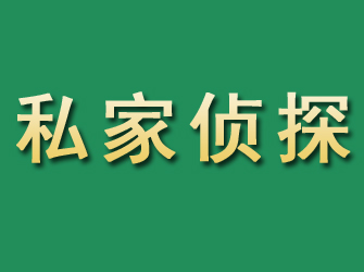 城西市私家正规侦探